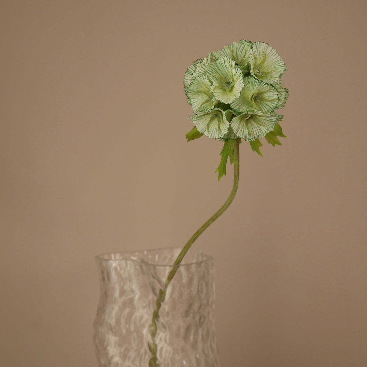 Konstgjort scabiosafrö i grön nyans, närbild