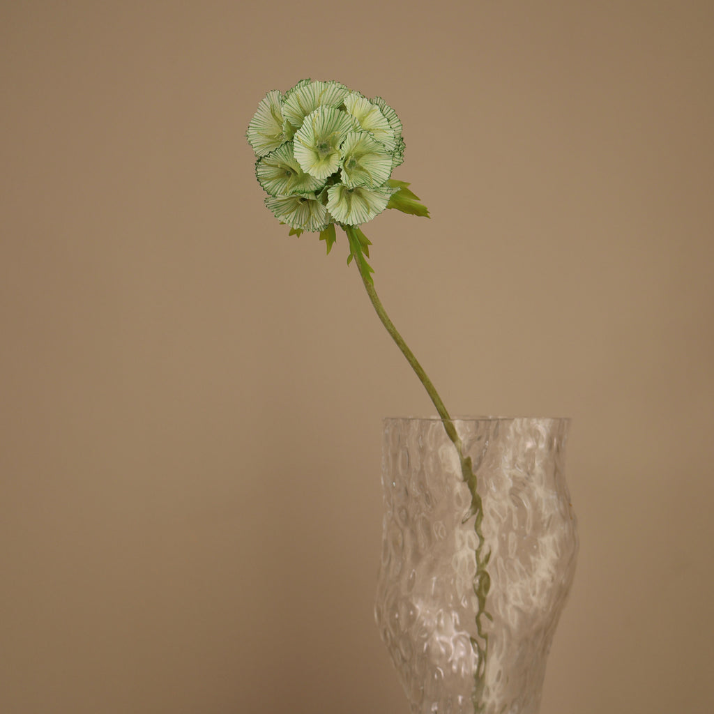 Konstgjort scabiosafrö i grön nyans, närbild
