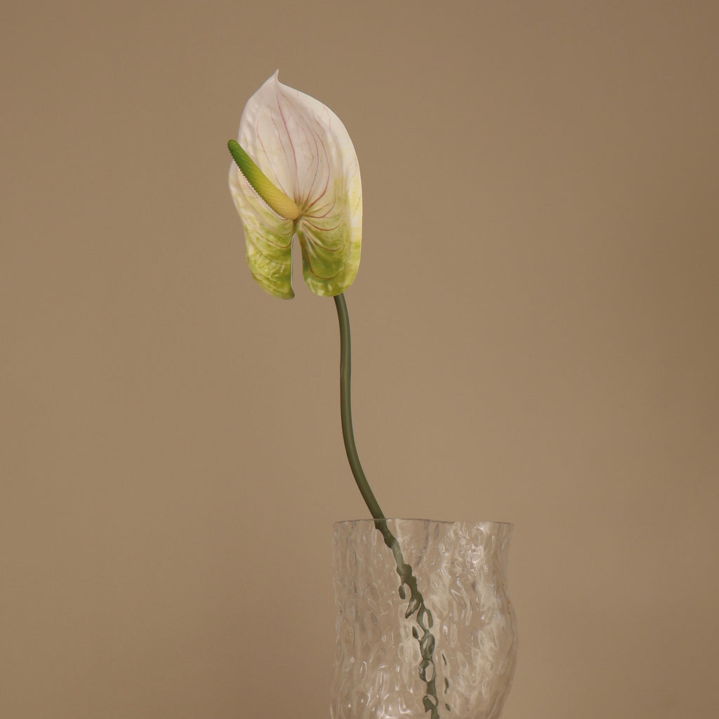 Konstgjord vit anthurium, närbild