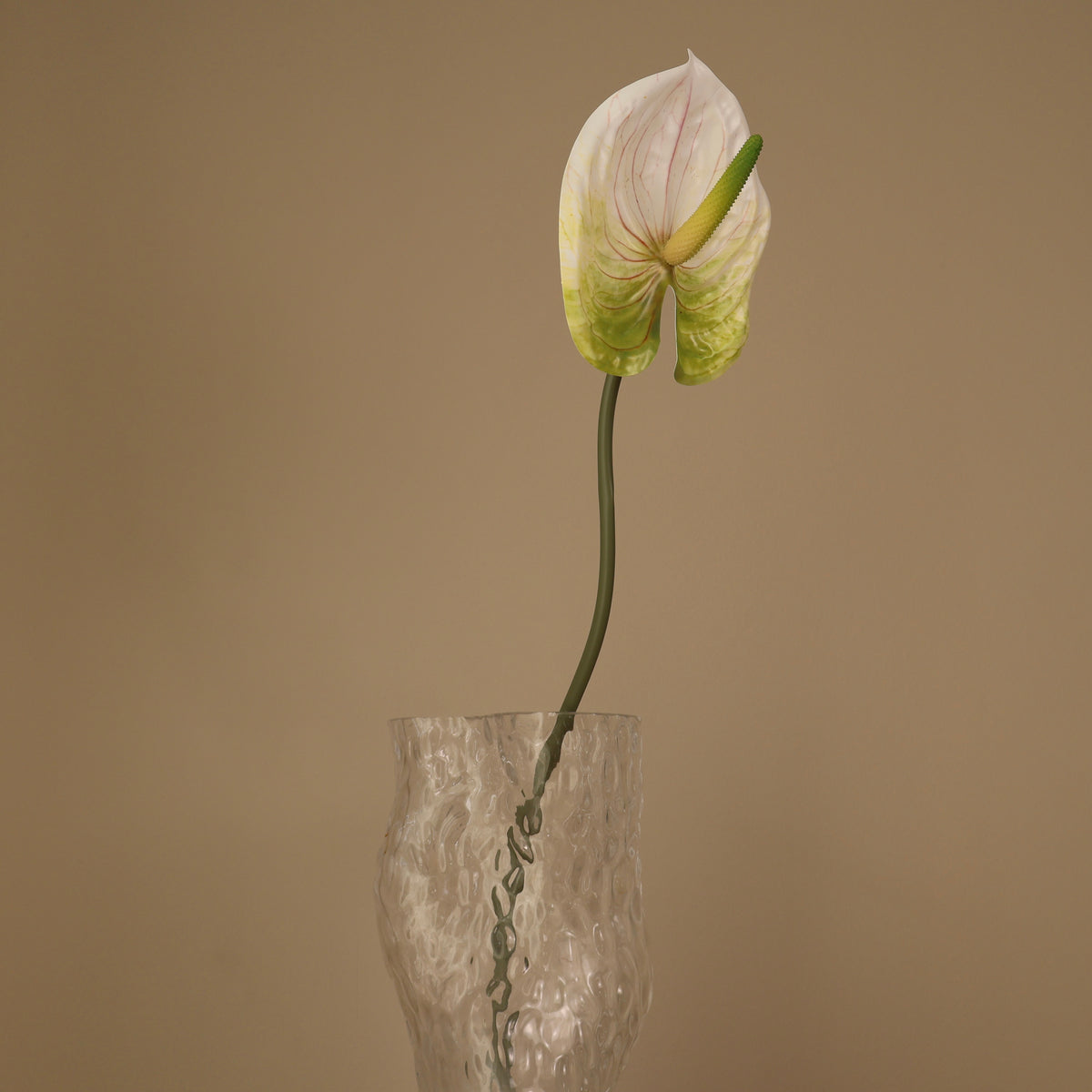 Konstgjord vit anthurium, närbild