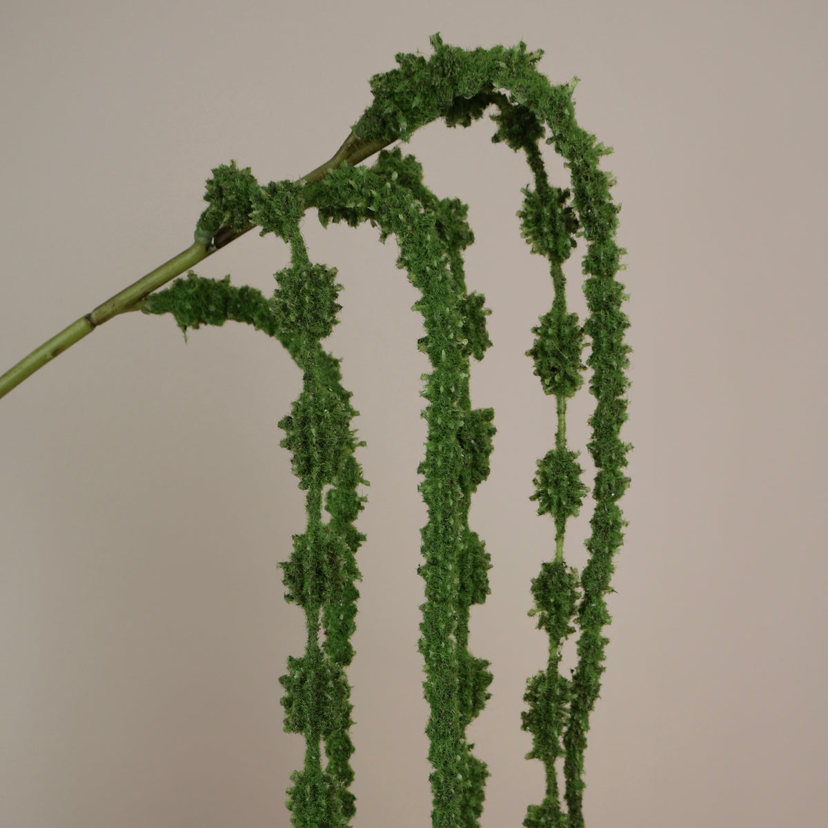 Konstgjord amaranthus-kvist i vinrött och mörkgrönt, närbild 4