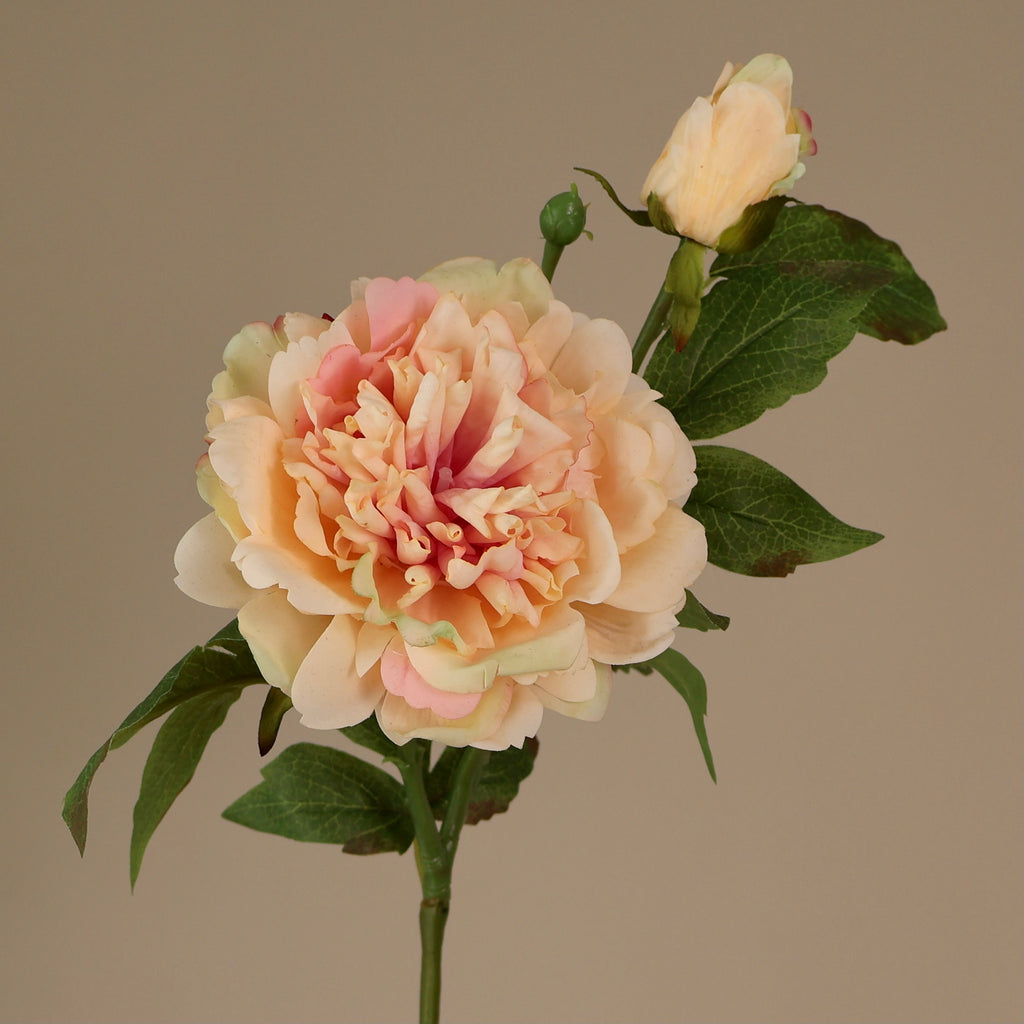 Konstgjord pion, närbild