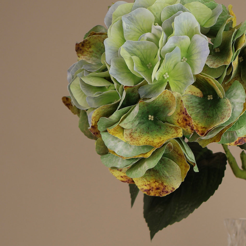 Konstgjord hortensia i gradient grön nyans, närbild