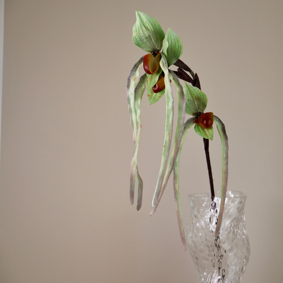 Konstgjord Lady's Slipper-orkidé i grön nyans, närbild