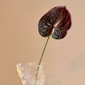 Konstgjord anthurium i vinröd nyans