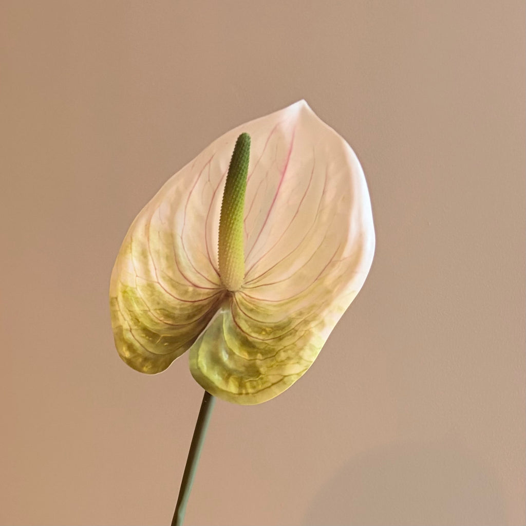 Konstgjord vit anthurium