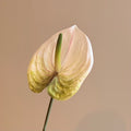 Konstgjord vit anthurium