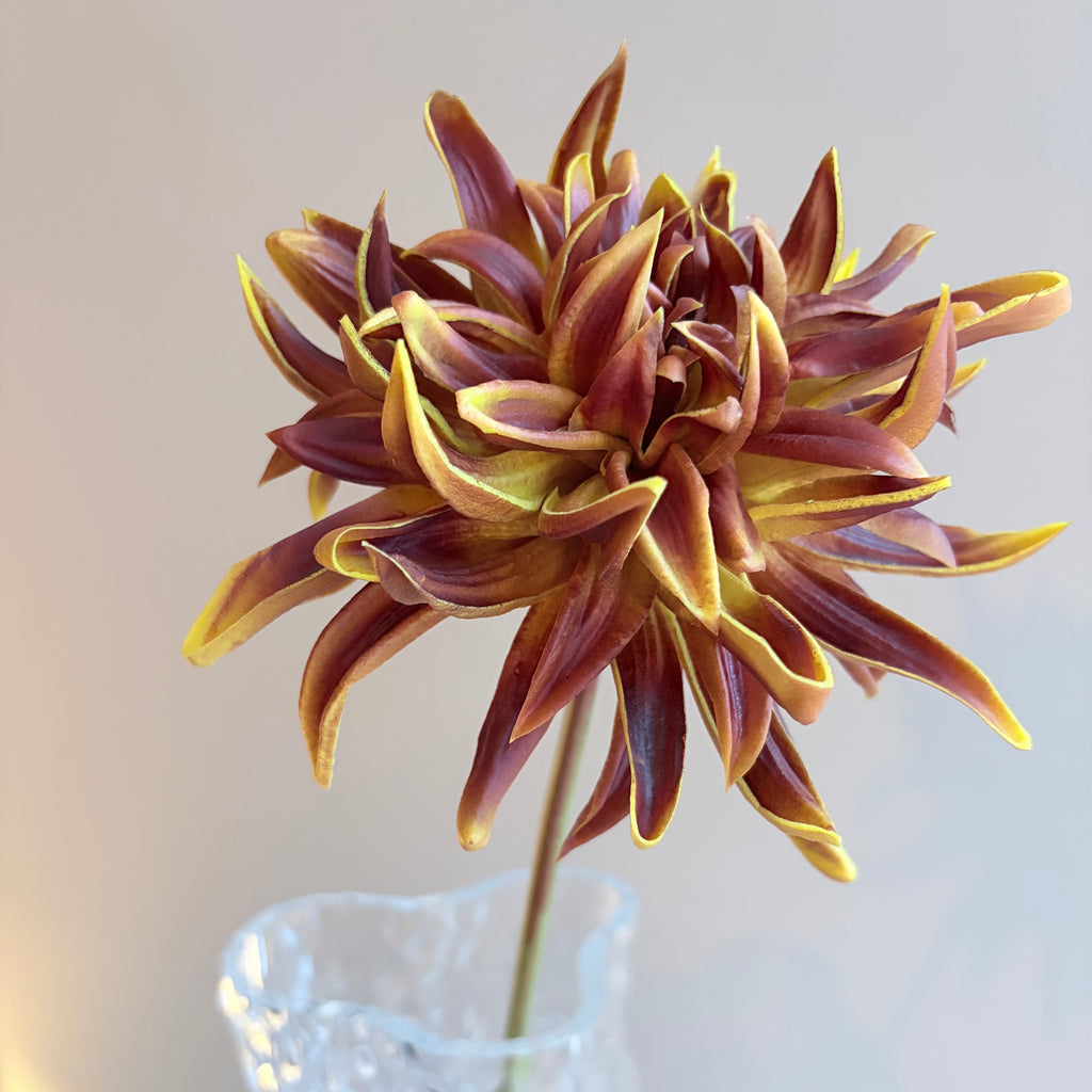 Konstgjord dahlia i ljusbrun nyans, närbild
