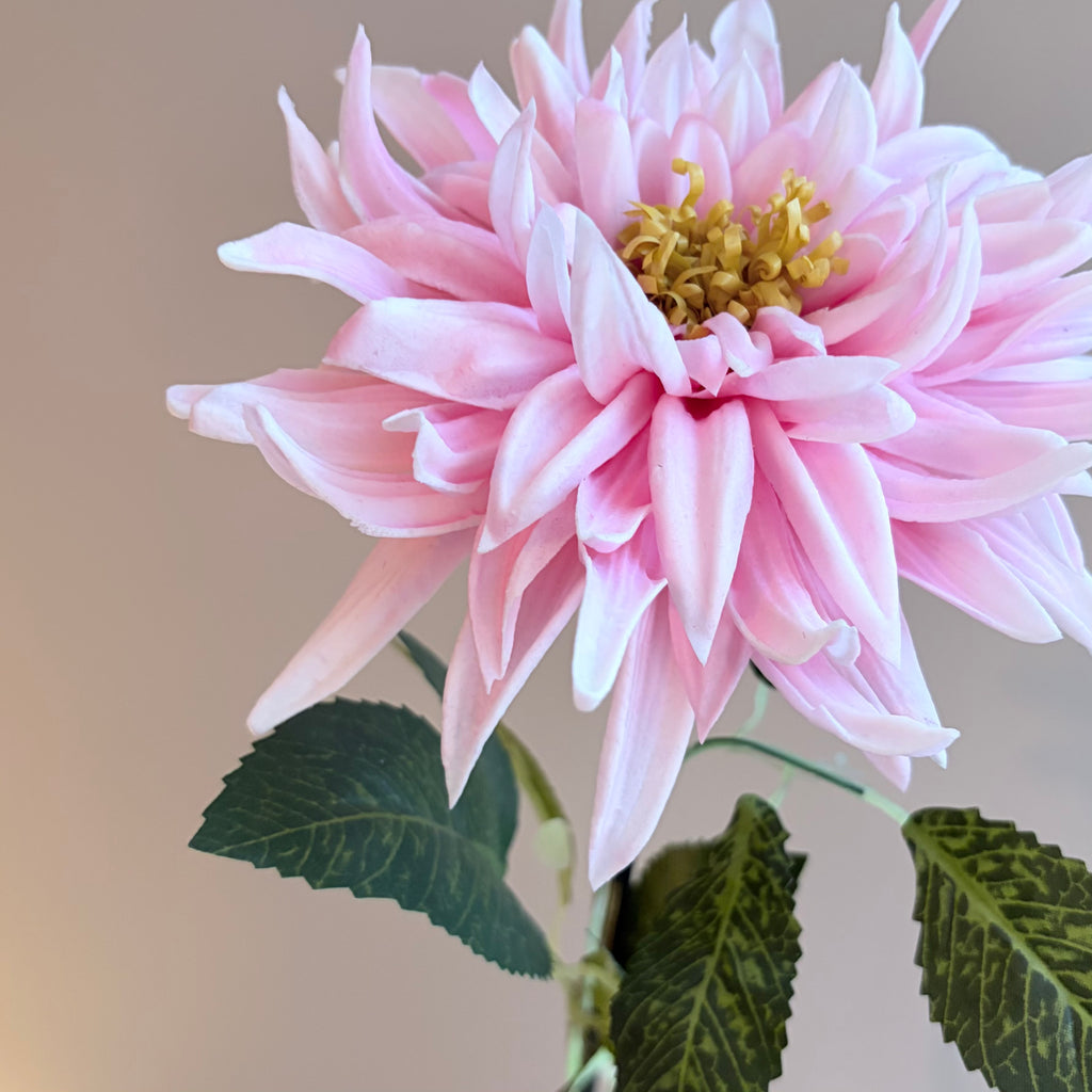 Konstgjord rosa dahlia, närbild